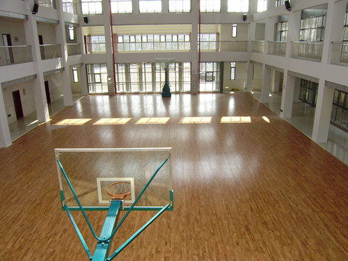 中学训练馆实木地板 运动木地板