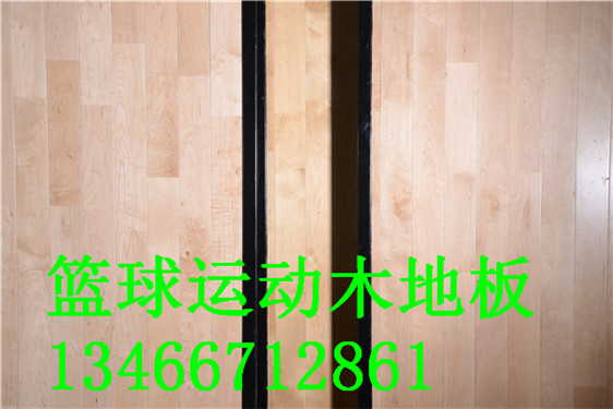 运动馆地板.jpg