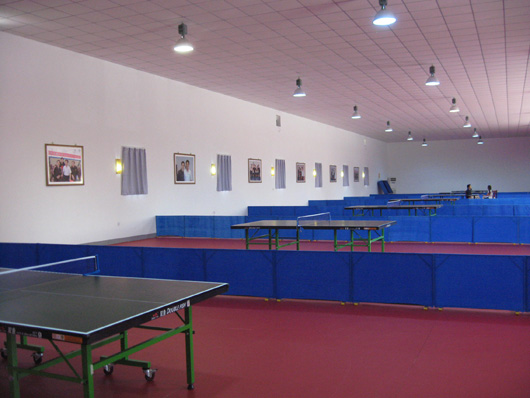OS欧氏乒乓球地板安装的场地规格及建设要求